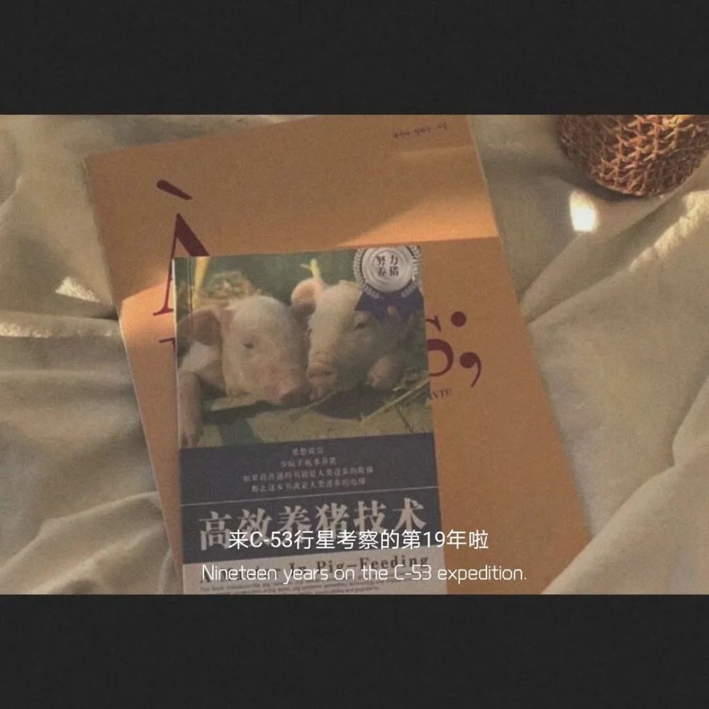粉丝投丨生日专属文案短句