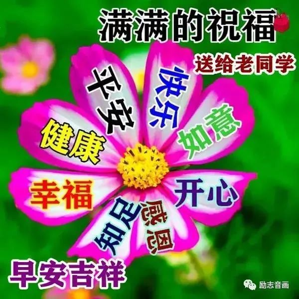 2021年10月31日星期日早上好问候祝福动态表情图片最新早安问候语动态