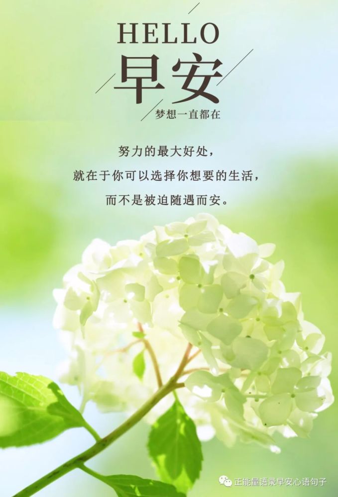 11月8日早安心语|奋进努力向前早安句子,朋友圈奋斗励志签名早安短句