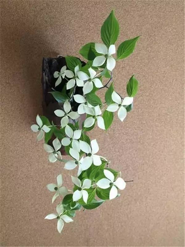 日本花道的"切裂"之美—不对称的日式美学!