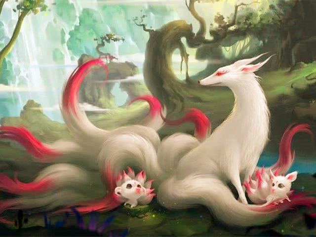 传说中的九尾狐现身浙江秘境,实为一种猫,身上自带香囊,遇天敌却会喷