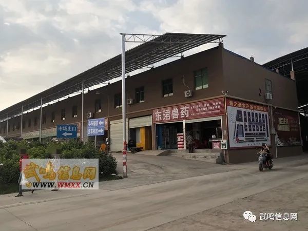 武鸣人口大概多少万_武鸣人口姓氏