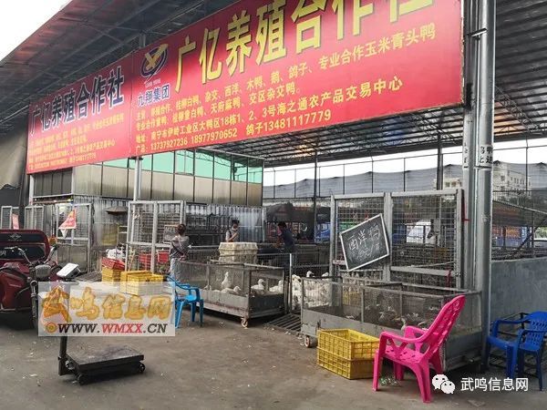 武鸣人口大概多少万_武鸣人口姓氏(3)