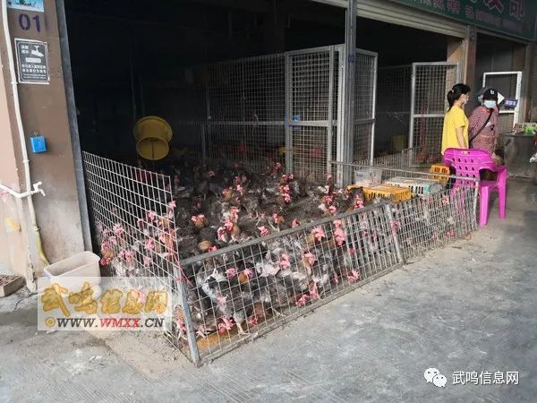 武鸣人口大概多少万_武鸣人口姓氏(2)