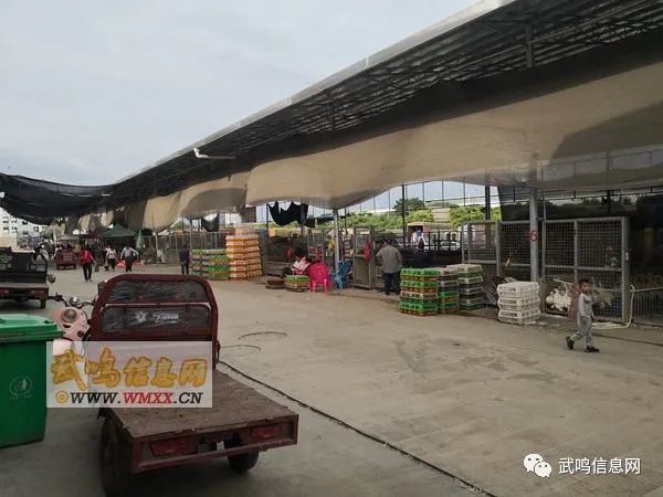 武鸣区共有多少人口_武鸣区地图