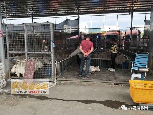 武鸣人口大概多少万_武鸣人口姓氏(3)
