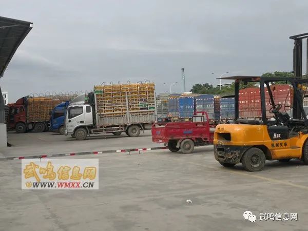 武鸣人口大概多少万_武鸣人口姓氏
