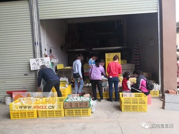 武鸣人口大概多少万_武鸣人口姓氏(2)