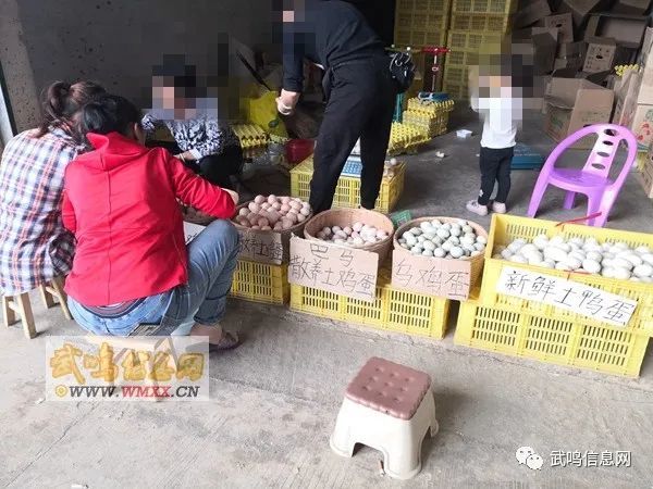 武鸣人口大概多少万_武鸣人口姓氏(3)