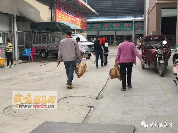 武鸣人口大概多少万_武鸣人口姓氏