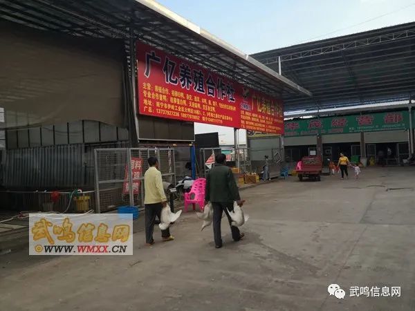 武鸣人口大概多少万_武鸣人口姓氏