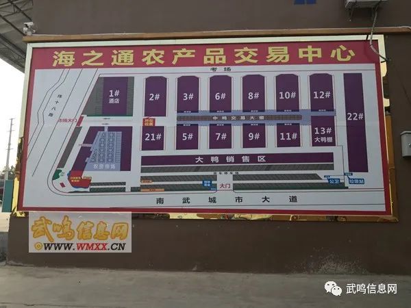 武鸣人口大概多少万_武鸣人口姓氏(3)
