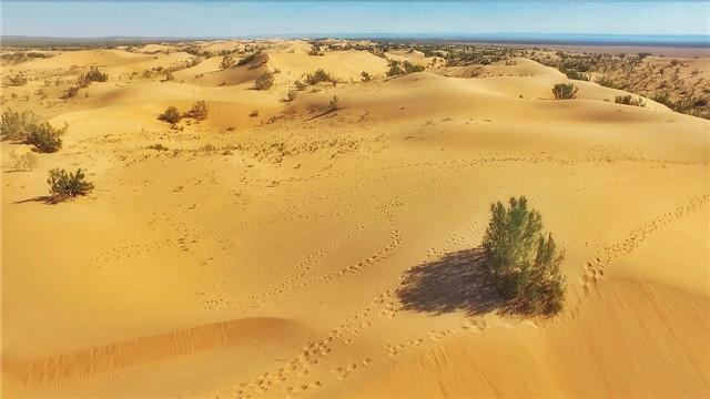 撒哈拉沙漠是世界上最大的热带沙漠,它的面积达到了940万平方公里