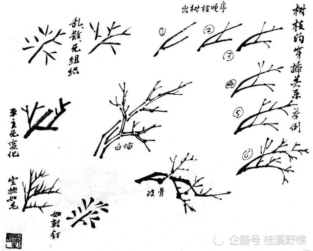 怎么正确地画树枝?图解示范教你画,初学者收藏起来学习