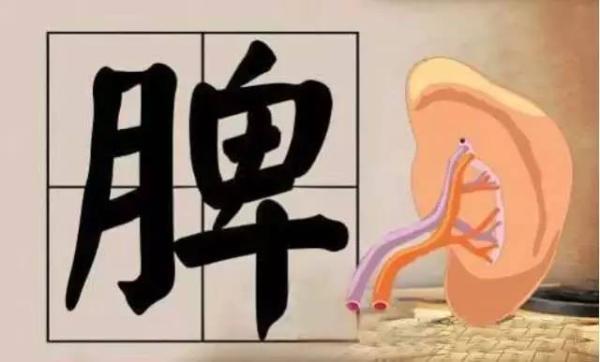 十人里面八个脾虚,补脾首推四种食物!