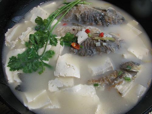 鲫鱼炖豆腐的最简单做法汤汁浓郁奶白鱼肉鲜嫩不粘锅吃不够