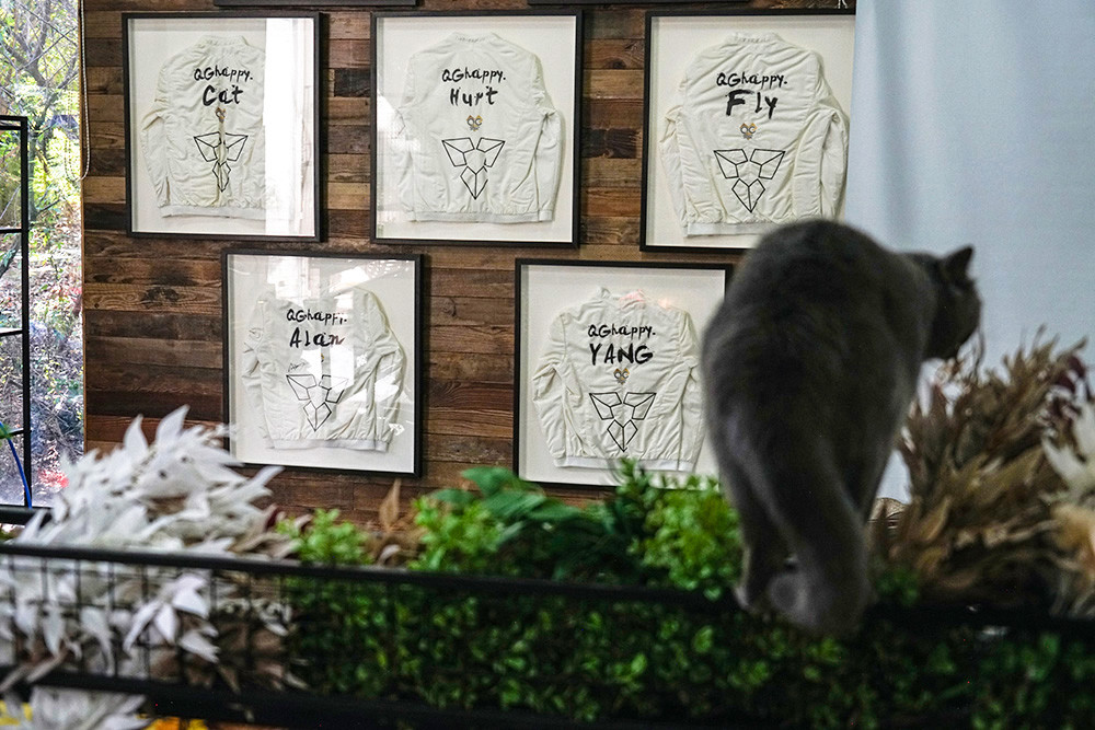 峡谷里的荣耀与忧伤：电竞少年之青春残酷物语