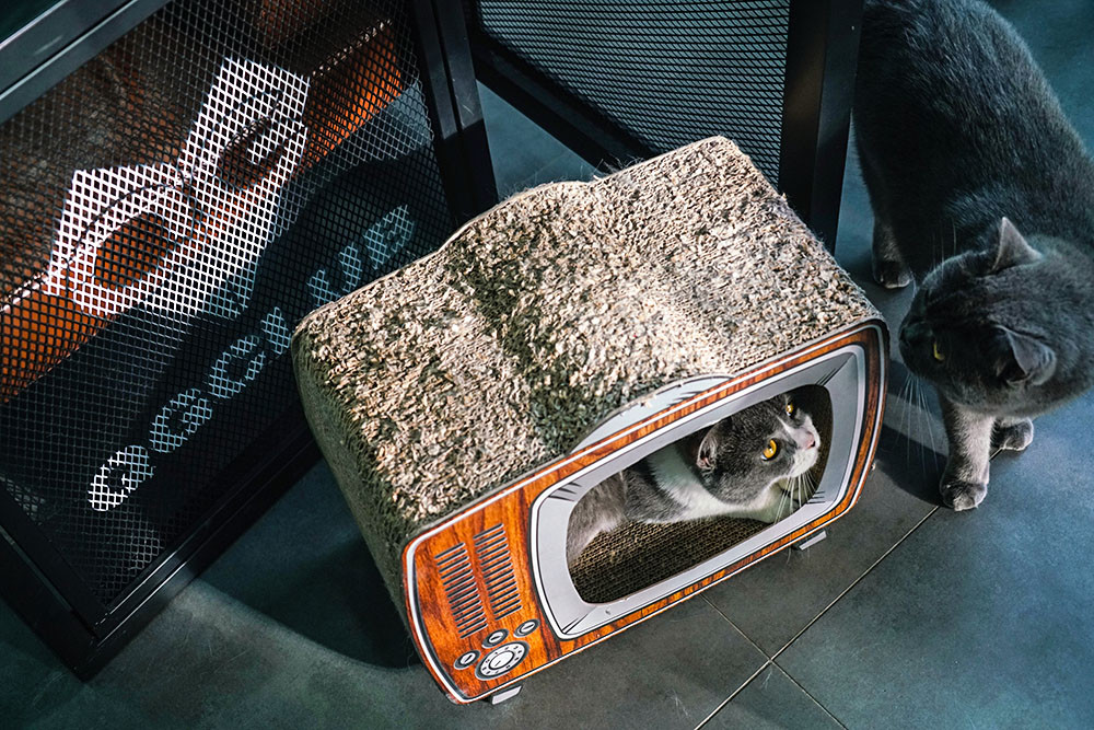 峡谷里的荣耀与忧伤：电竞少年之青春残酷物语