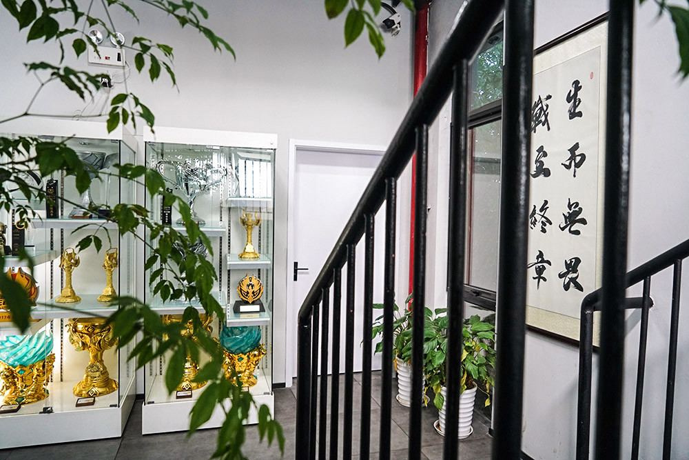 峡谷里的荣耀与忧伤：电竞少年之青春残酷物语