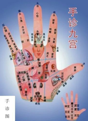 内关穴: 位置在手掌面关节横纹的中央,往上约三指宽的中央凹陷处