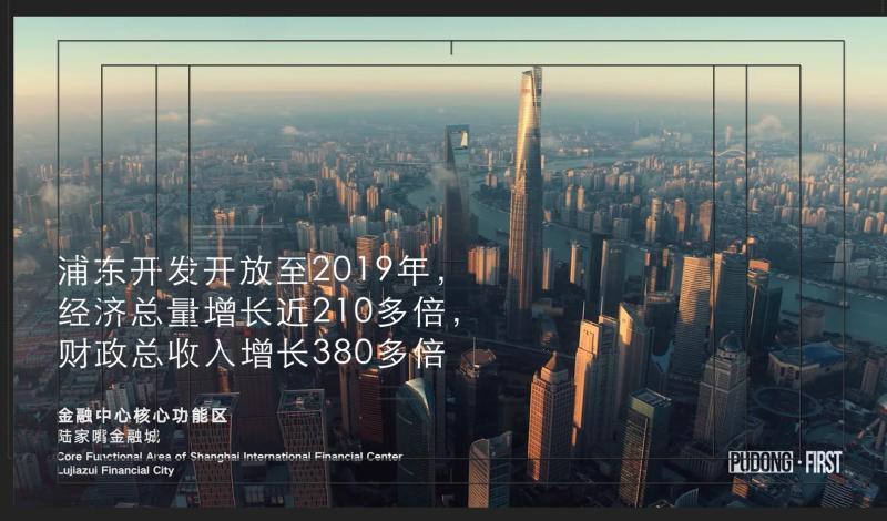 浦东新区gdp翻倍_上海浦东新区(2)