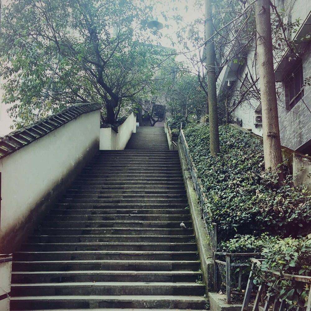 重庆人口中说的_重庆人口信息图(2)