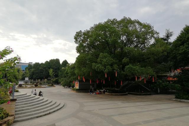 人口老宁化_宁化老鼠干(2)