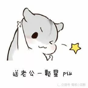 仓鼠表情包:我爱老公!