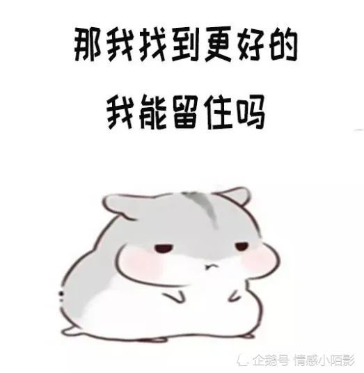 仓鼠表情包:你一定会遇到更好的