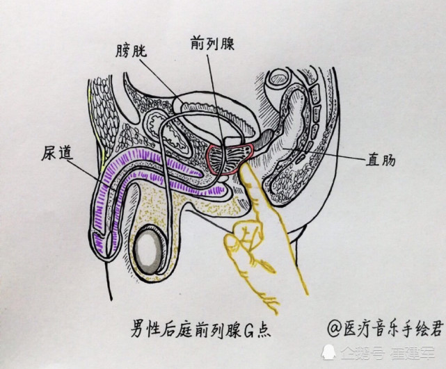 放弃"肛门指检"的人亏大了