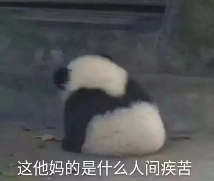 超级搞笑沙雕的短句签名,笑掉了头