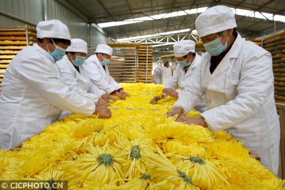 邯郸永年2020gdp_邯郸永年赵海川照片