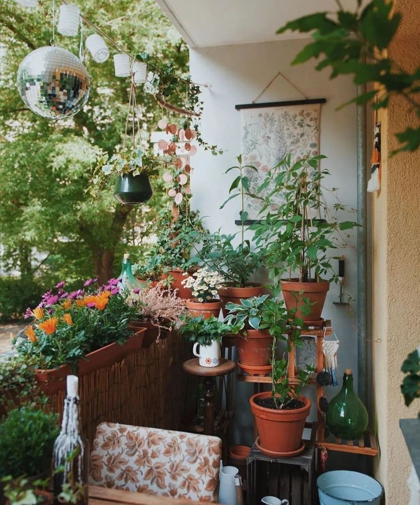 花最少的钱,打造最美的阳台小花园