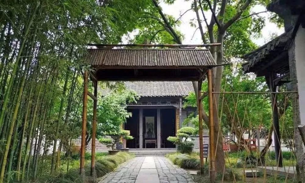 成语什么沙猿鹤_猿手是什么神经损伤图(3)