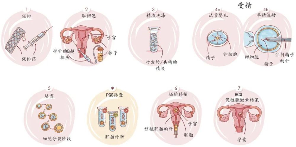 中国疫情最新消息泰国总人口_泰国新闻最新消息(2)