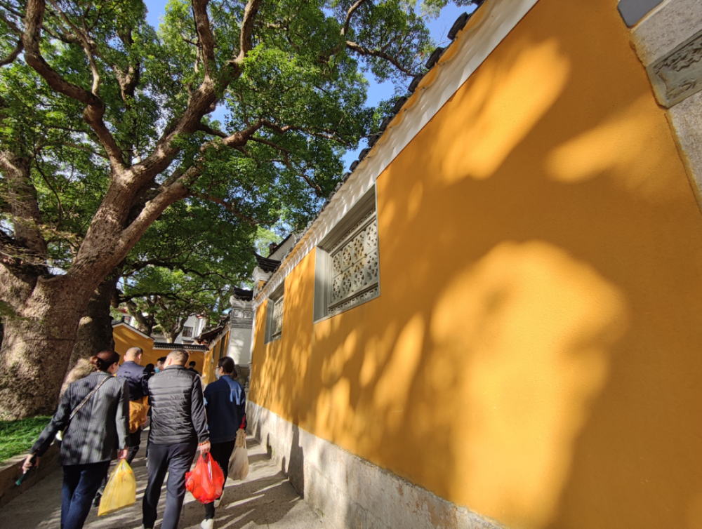 迎着冬日的暖阳,走进普济寺,领略普陀山第一大寺院的庄严与恢弘