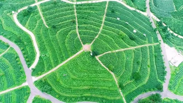 乌当区人均gdp_乌当区新天九年制学校