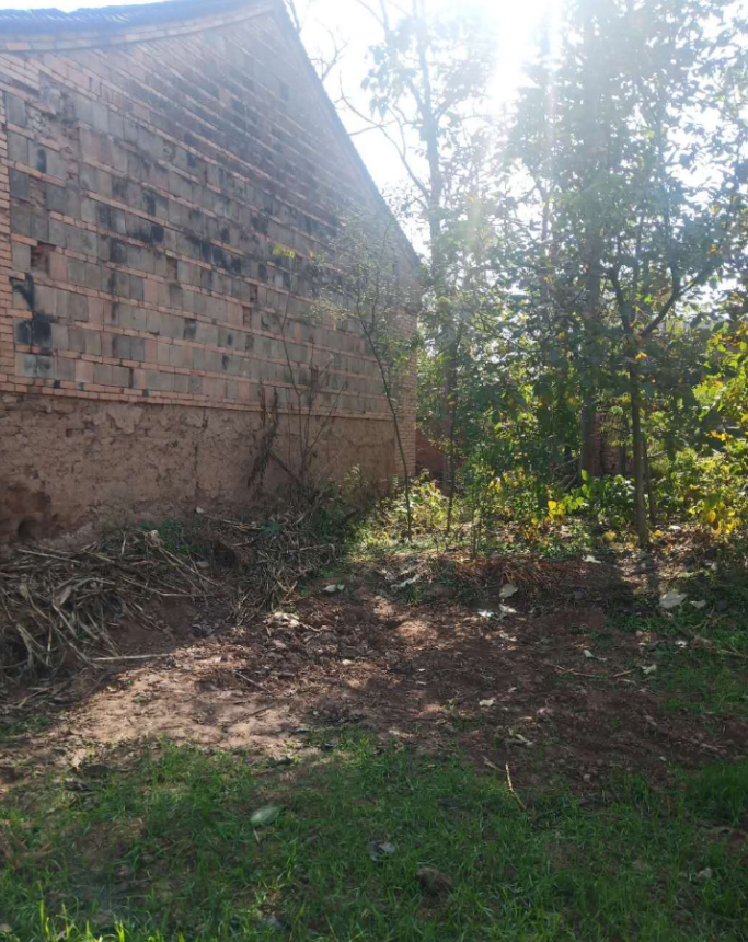 对话被埋尸男生父亲：他们把孩子埋了后曾在学校宣扬