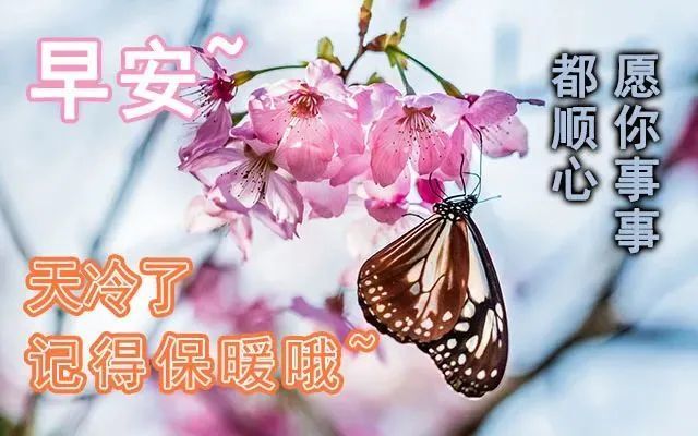 冬天早上好问候祝福语动态表情图片,温馨早安心语!