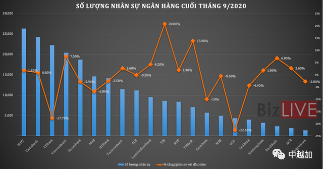 越南人口比例2020_越南人口分布图(2)