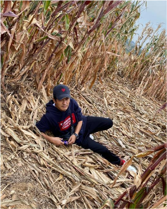 郭晓冬回山东老家下地干活,穿名牌躺在苞米地里,切地瓜动作熟练!