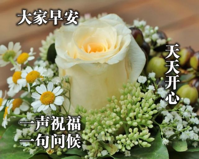 让人好心情的早安励志句子,清晨最美的正能量人生谨言
