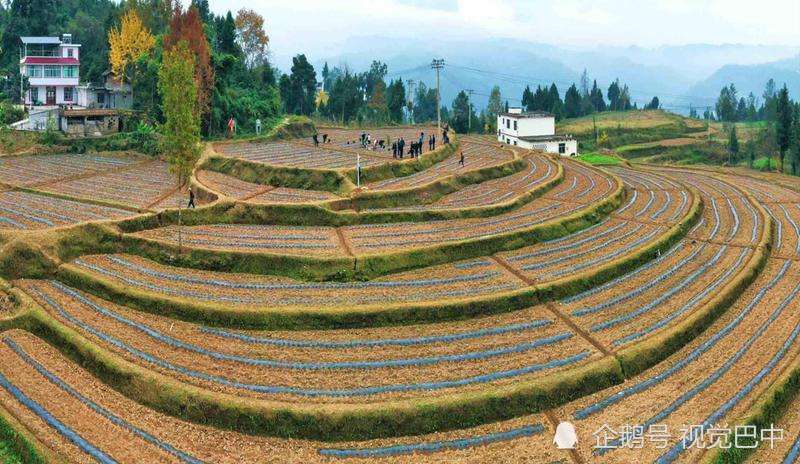 巴中平昌2020gdp_四川巴中平昌地图(3)