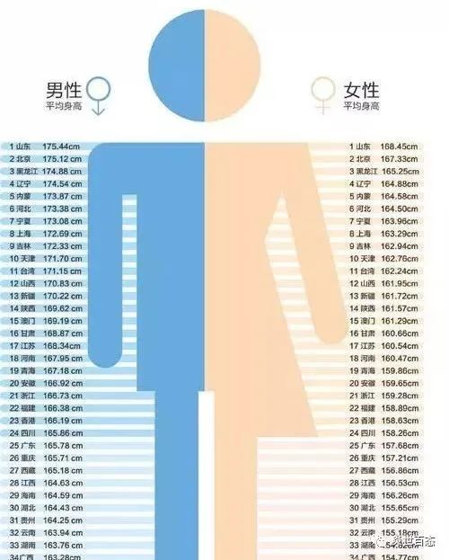 美国人均身高_美国身高尺寸对照表