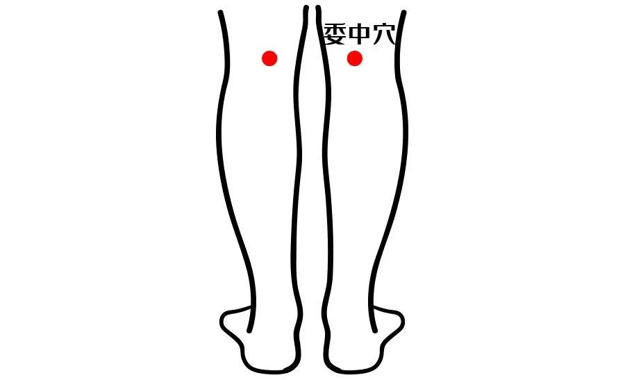 方法:对于委中穴应采取点按的方法,一点一放,同时与腿部的屈伸相配合.