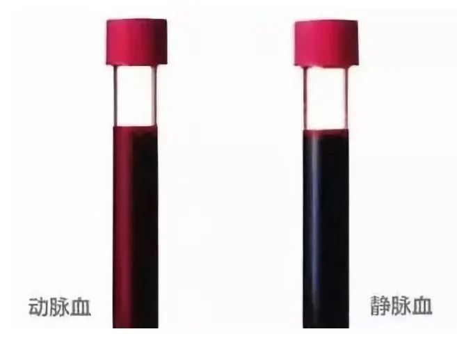 8毫升的静脉血, 经过高速离心机分离提取2-3毫升的富含血小板血清(prp