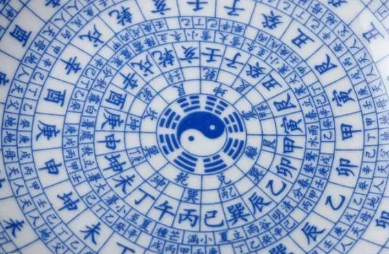 命理八字的地支指什么 生辰八字里的"地网"密码：十二地支藏着多少不为人知的命运真相