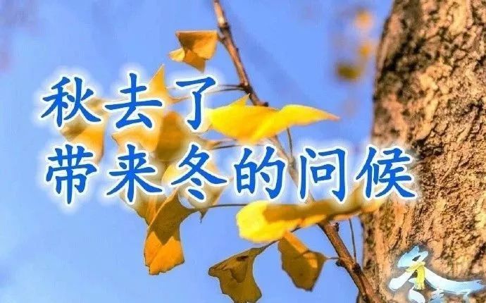 微信早上好风景图冬天天冷了暖心问候语句冬天里最温暖的祝福语2021