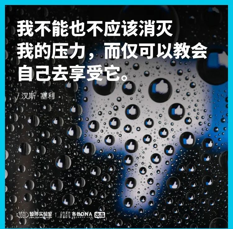 提出「压力」这个词的心理学家汉斯·塞利这样说道:那么,我们应该如何