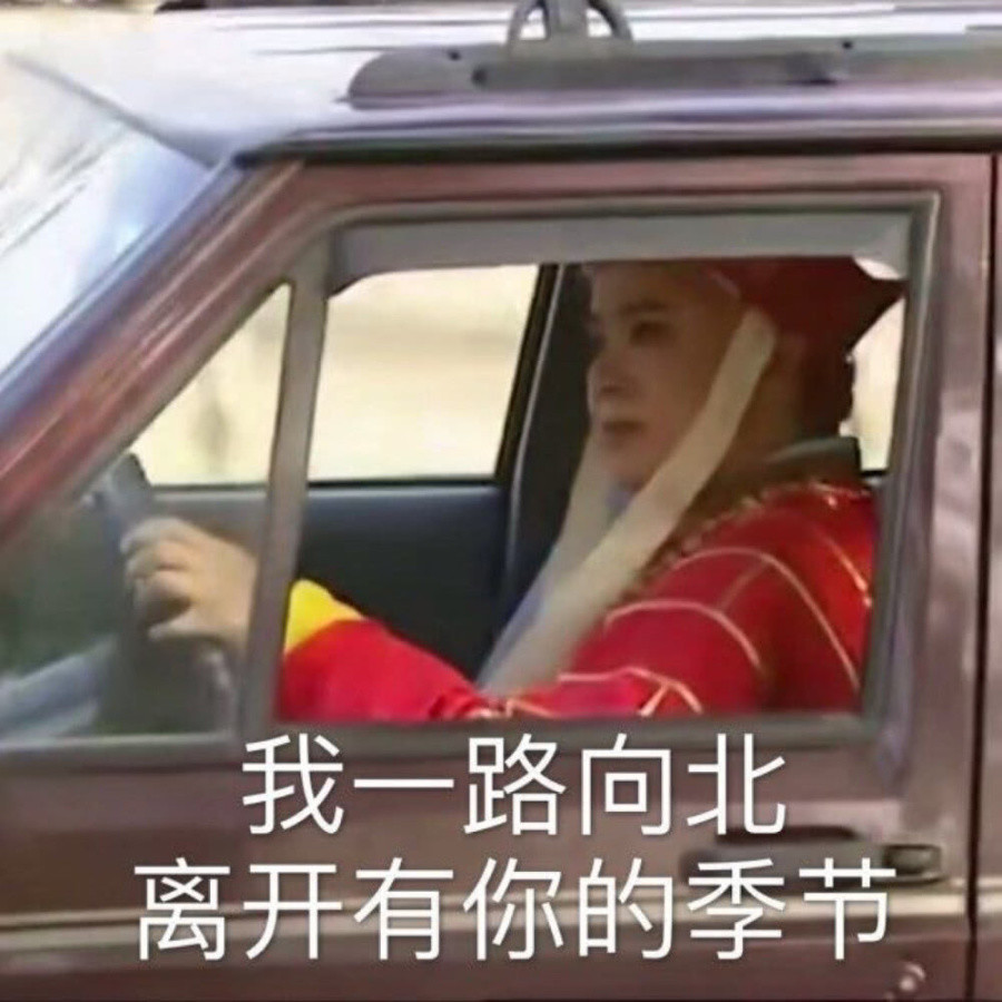 沙雕表情包:我一路向北,离开有你的季节